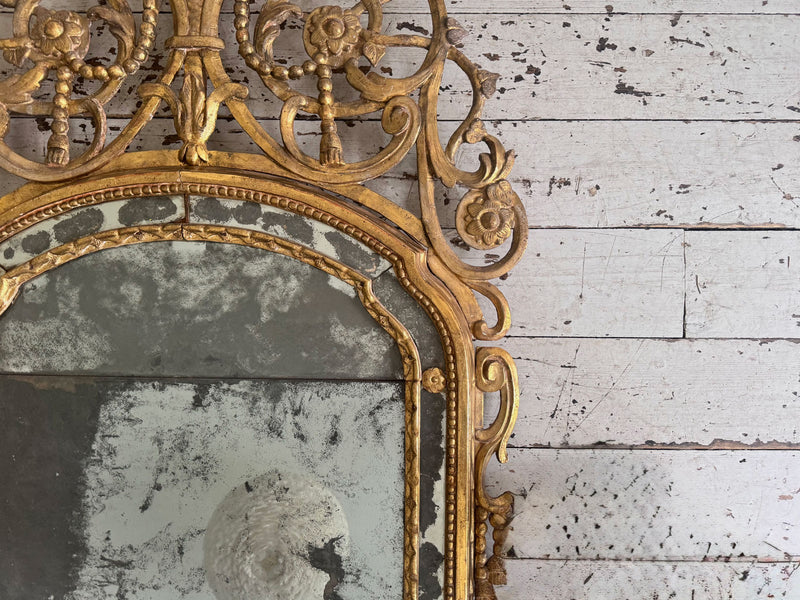 An Exceptional 18th C Piedmont Gilt Wood Italian Mirror
