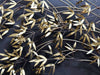 A 1970's Curtis Jere Gold Bamboo Leaf Wall Sculpture