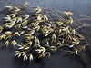 A 1970's Curtis Jere Gold Bamboo Leaf Wall Sculpture