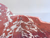 A Rare 19th C French 'Belgian Rouge' Marble Bath