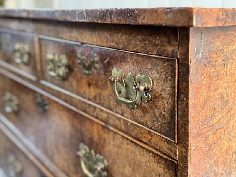 A George III Burr Elm Chest of Drawers with Exceptional Patina