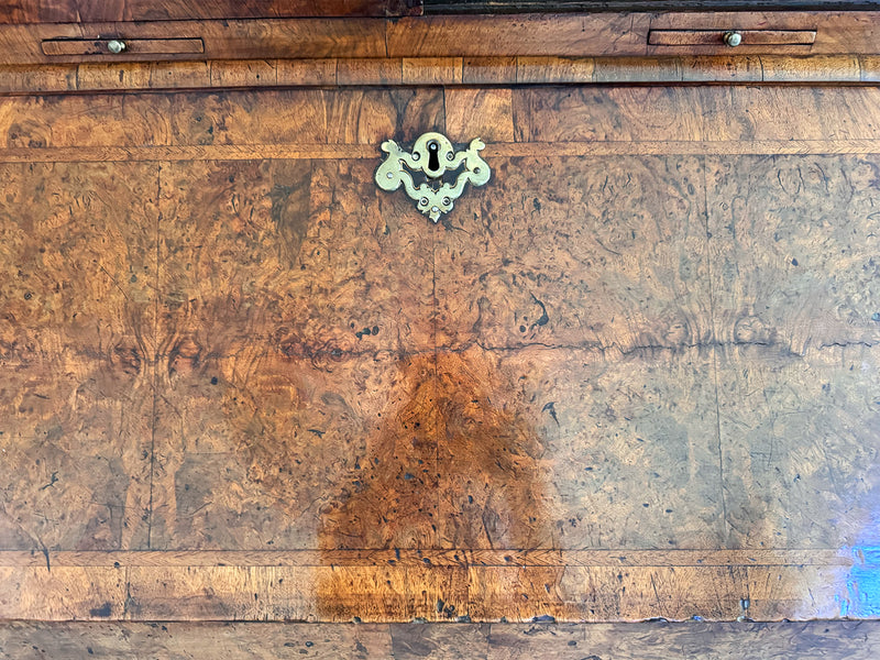 A Fine George II English Burr Walnut Bureau Bookcase