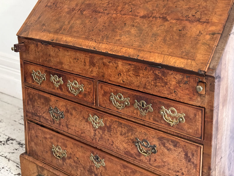A Fine George II English Burr Walnut Bureau Bookcase