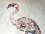 One of Two Italian Flamingo Oil Paintings I