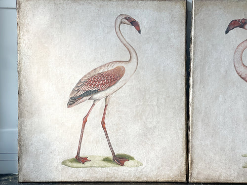One of Two Italian Flamingo Oil Paintings II