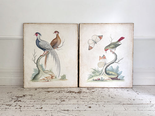 Two Large Italian Oil on Gesso Exotic Bird Paintings