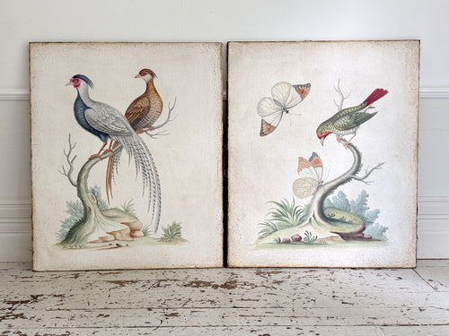 Two Large Italian Oil on Gesso Exotic Bird Paintings