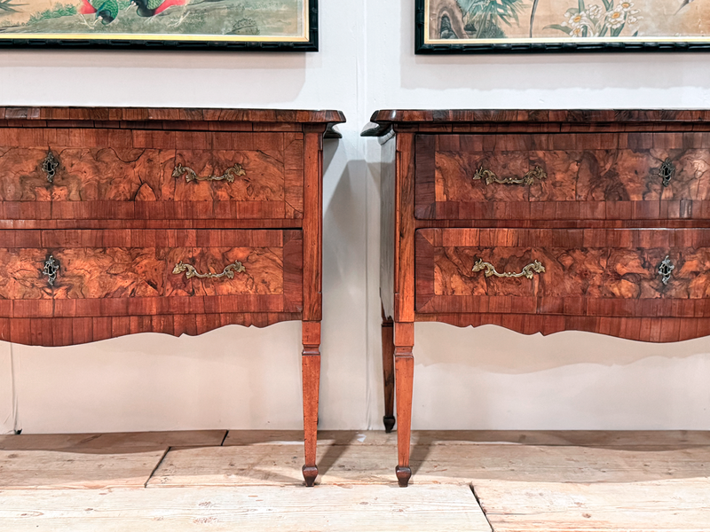 A Pair of 18th C Modina King Wood & Olive Wood Two Drawer Commodes