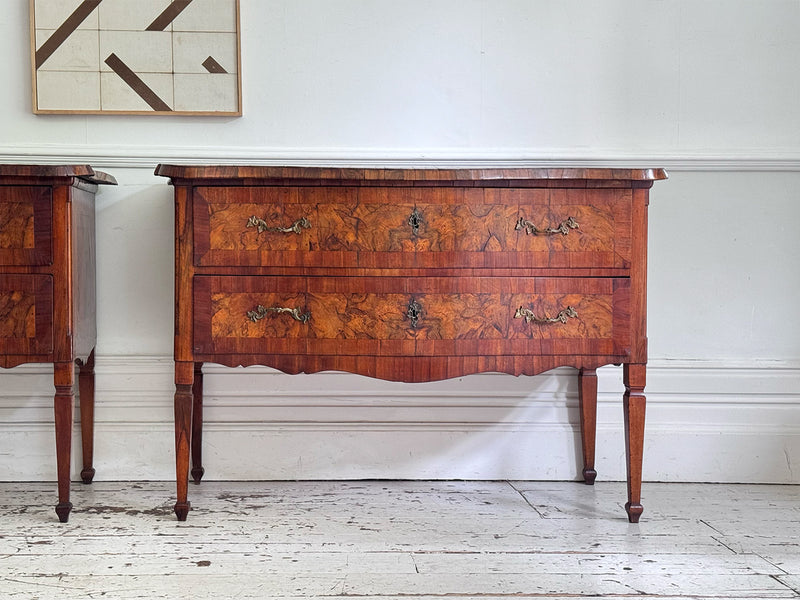 A Pair of 18th C Modina King Wood & Olive Wood Two Drawer Commodes