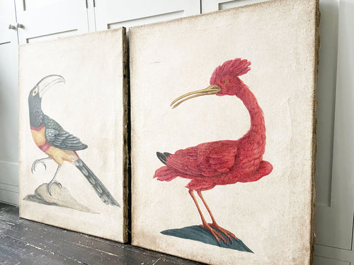 A Pair of Italian Paintings of Colourful Birds Using Antique Techniques