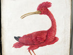 A Pair of Italian Paintings of Colourful Birds Using Antique Techniques