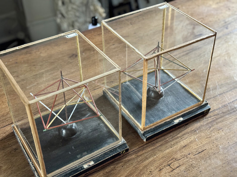 A Pair of 1950's French Scientific School Elements in Cases