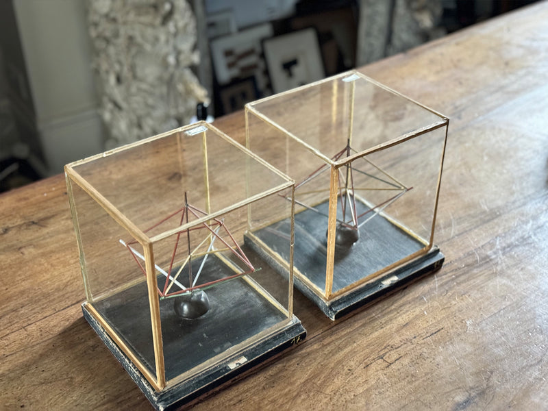 A Pair of 1950's French Scientific School Elements in Cases