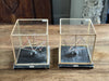 A Pair of 1950's French Scientific School Elements in Cases