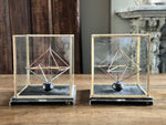 A Pair of 1950's French Scientific School Elements in Cases