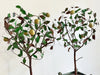 A Pair of Large 1930's Italian Polychrome Tole Lemon Trees
