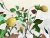 A Pair of Large 1930's Italian Polychrome Tole Lemon Trees