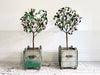 A Pair of Large 1930's Italian Polychrome Tole Lemon Trees