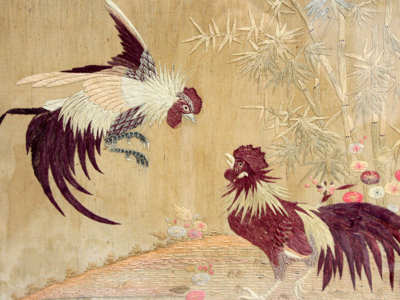 fighting rooster illustration