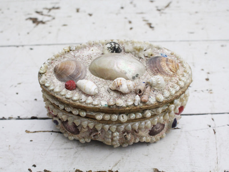 A Decorative Antique Shell Covered Box 4 of 4