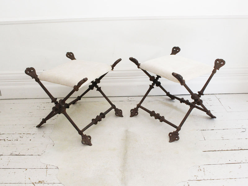 A Pair of Very Large Iconic Napoleon III Cast Iron Stools