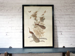 Antique Hand Embroidered Japanese Peacocks in Original Black Frame