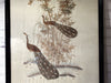 Antique Hand Embroidered Japanese Peacocks in Original Black Frame