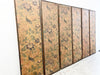 A Set of Six Antique French Birds of Paradise Panels