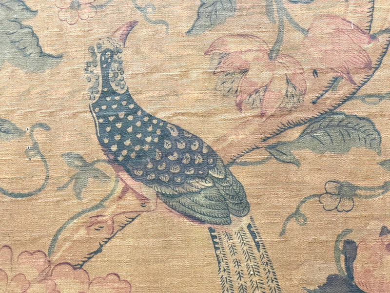 A Set of Six Antique French Birds of Paradise Panels