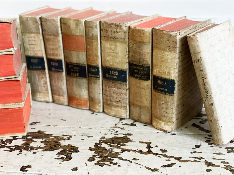 A Set of 12 Decorative 19th Antique French Books with 18th C Covers