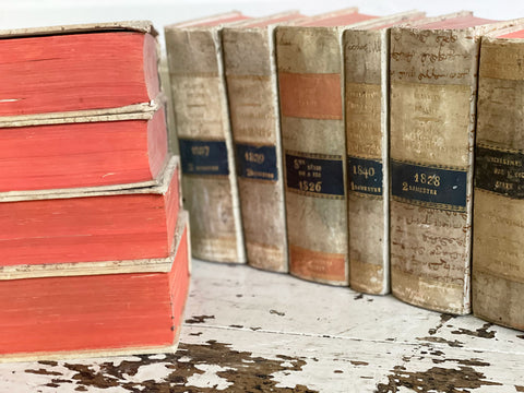 AntiqueDecorativeFrenchBooksSt