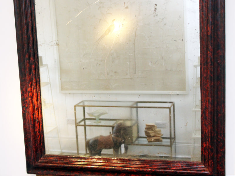 A 19th Century Faux Tortoiseshell Framed Mirror