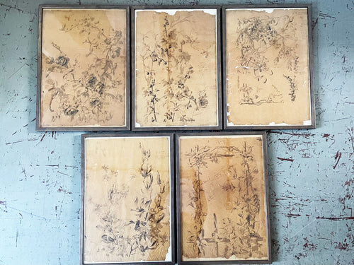 A Set of Five Early 19th C French Pen on Paper Botanical Studies - Decorative French Antiques - Streett Marburg