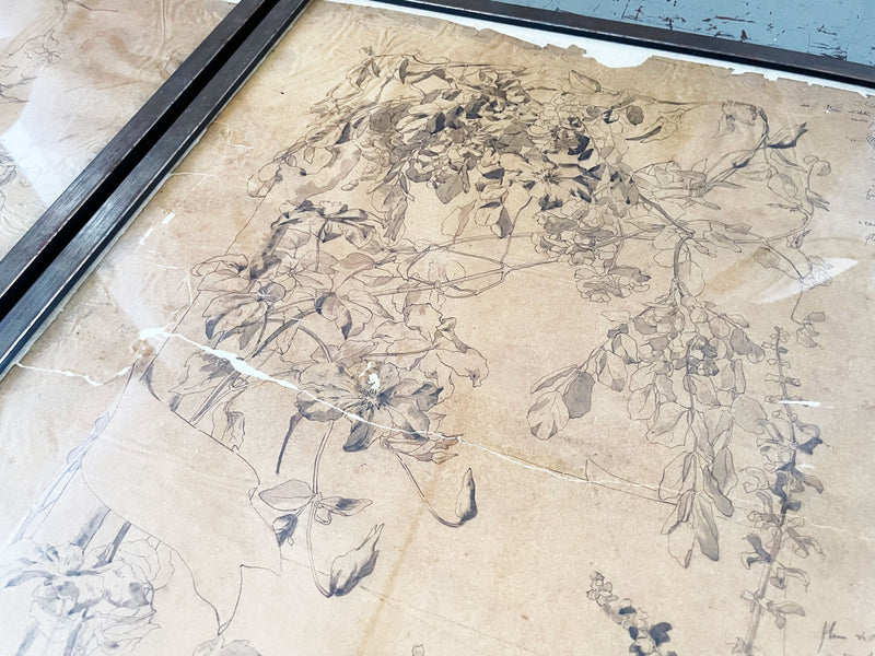 A Set of Five Early 19th C French Pen on Paper Botanical Studies - Decorative French Antiques - Streett Marburg