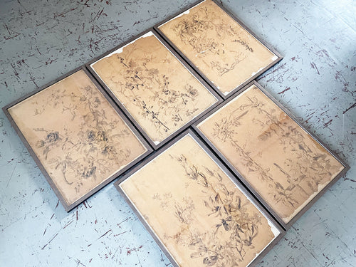 A Set of Five Early 19th C French Pen on Paper Botanical Studies - Decorative French Antiques - Streett Marburg