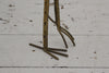 French 1970's Brass Ostrich Sculpture with Ostrich Egg
