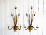 A Pair of 1950's French Gilt Metal Poppy Wall Lights
