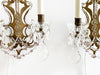 A Pair of 1950's French Brass & Glass Wall Lights