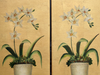 Two Pairs of French Gold and Silver Floral Canvas Paintings