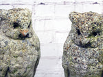 A Pair of 1960's Cast Stone Owls