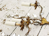 A Pair of Mid Century French Gilt Metal Wall Lights with Glass Flowers & Leaves