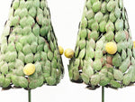 A Pair of 1950's Italian Polychrome Metal Lemon Trees