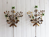 A Pair of Mid Century French Gilt Metal Wall Lights with Glass Flowers