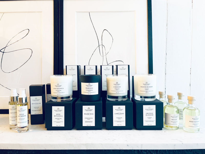 New - Wild Planet Aromatherapy Diffusers & Candles