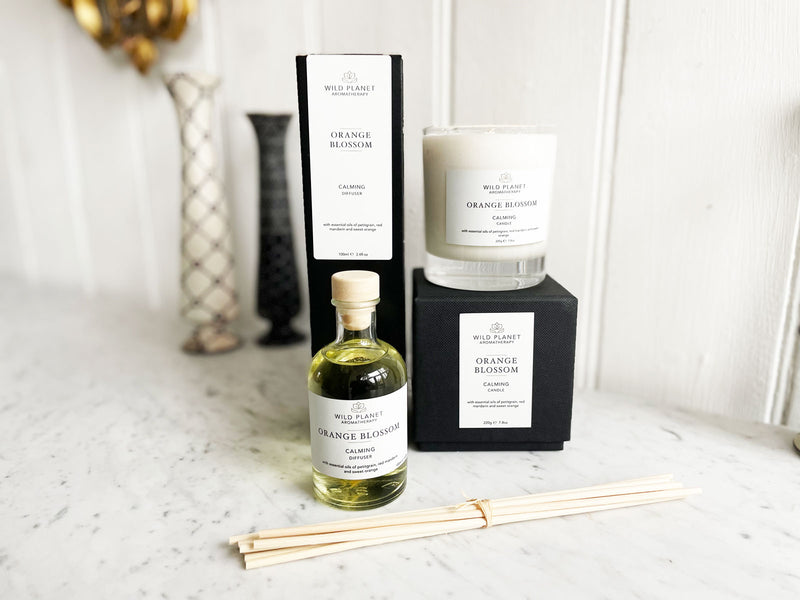 Orange Blossom Reed Diffuser - Wild Planet Aromatherapy